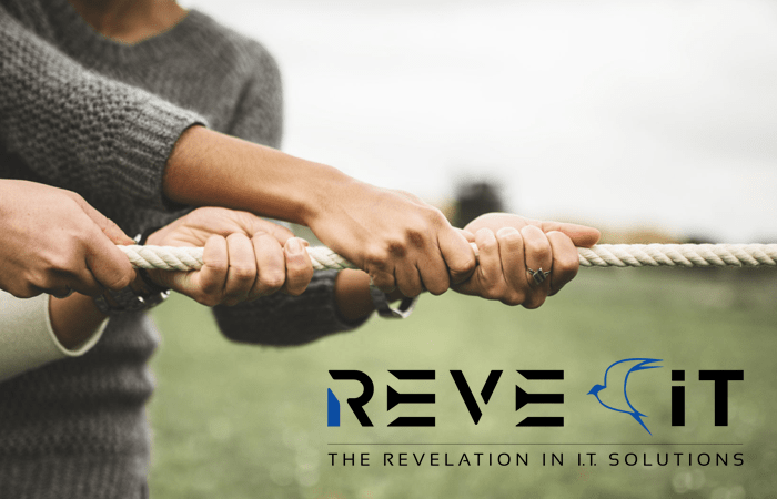 Team Work in ReVe IT